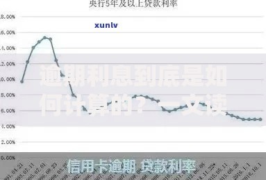 逾期利息到底是如何计算的？一文读懂计算规则与影响