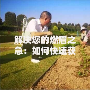 解决您的燃眉之急：如何快速获取可靠贷款方案？