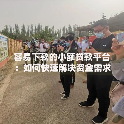 容易下款的小额贷款平台：如何快速解决资金需求？
