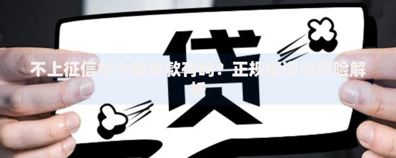 不上征信的大额贷款有吗？正规渠道与风险解析