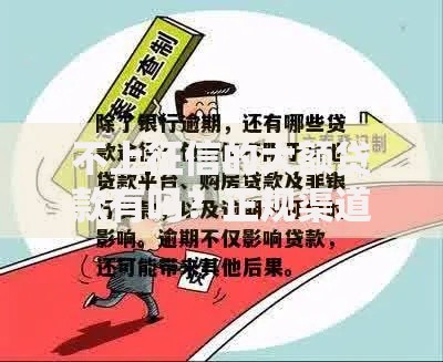 不上征信的大额贷款有吗？正规渠道与风险解析