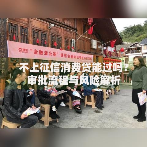不上征信消费贷能过吗？审批流程与风险解析
