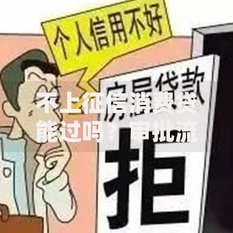 不上征信消费贷能过吗？审批流程与风险解析