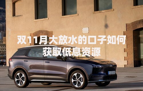 双11月大放水的口子如何获取低息资源
