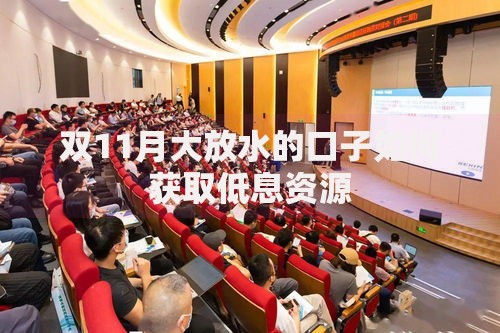 双11月大放水的口子如何获取低息资源