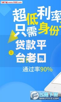 贷款平台老口子：如何选择正规渠道与安全借贷