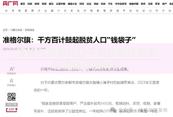 准格尔旗黑花口子贷款条件及办理流程深度解析