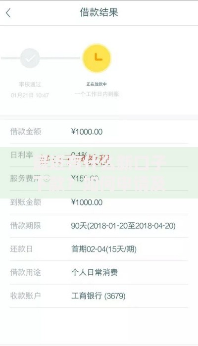 最近有什么新口子下款？如何申请及注意事项解析