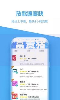 富贵猪口子好下款吗？真实审核流程与用户反馈解析