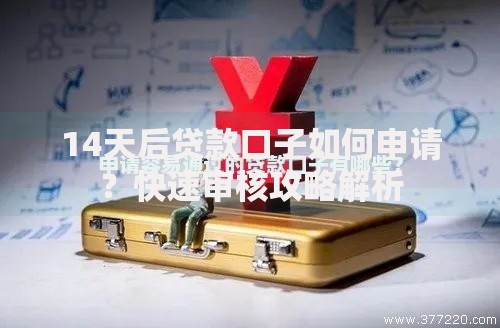 14天后贷款口子如何申请？快速审核攻略解析
