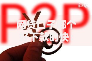 网贷口子哪个好下款的快：高效过审平台深度解析