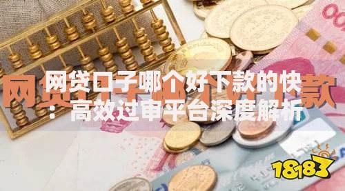 网贷口子哪个好下款的快：高效过审平台深度解析