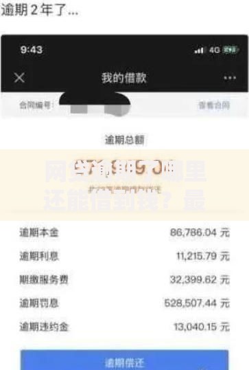 网贷逾期了哪里还能借到钱？最新解决方案解析
