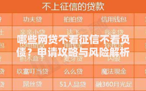 哪些网贷不看征信不看负债？申请攻略与风险解析