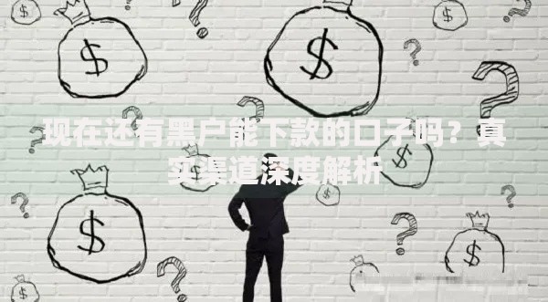 现在还有黑户能下款的口子吗？真实渠道深度解析