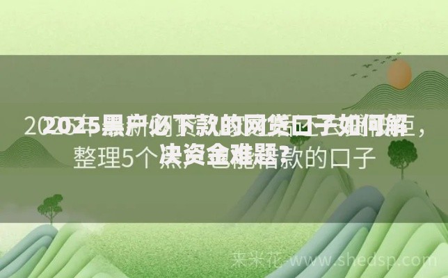 2025黑户必下款的网贷口子如何解决资金难题? 2025黑户必下款的网贷口子如何解决资金难题?