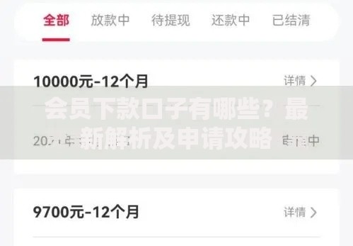 会员下款口子有哪些?最新解析及申请攻略 会员下款口子有哪些?最新解析及申请攻略