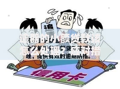 逾期的小额贷款该怎么处理？应对措施与解决方案解析