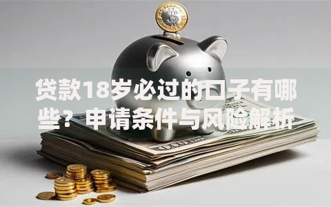 贷款18岁必过的口子有哪些？申请条件与风险解析