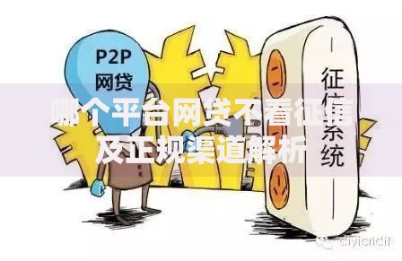 哪个平台网贷不看征信及正规渠道解析