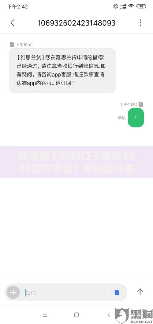 双黑能下款的口子最新2025如何申请？审核条件解析