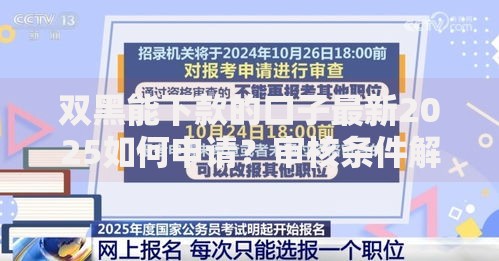 双黑能下款的口子最新2025如何申请？审核条件解析