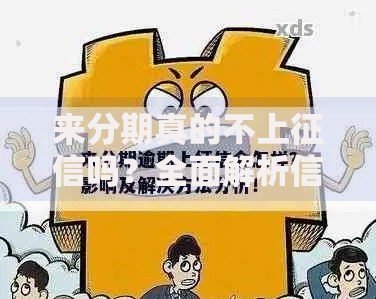 来分期真的不上征信吗？全面解析信用审核机制