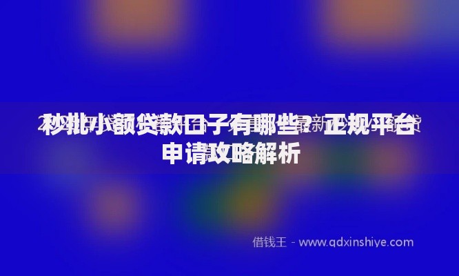 秒批小额贷款口子有哪些？正规平台申请攻略解析