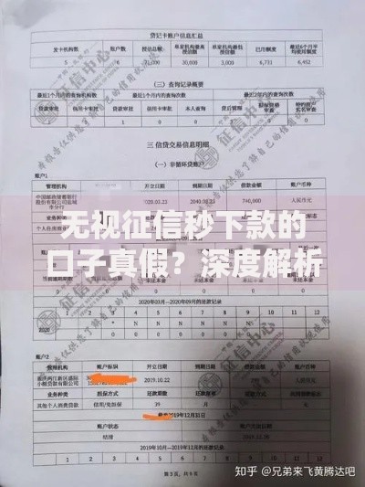 无视征信秒下款的口子真假？深度解析背后风险与真相
