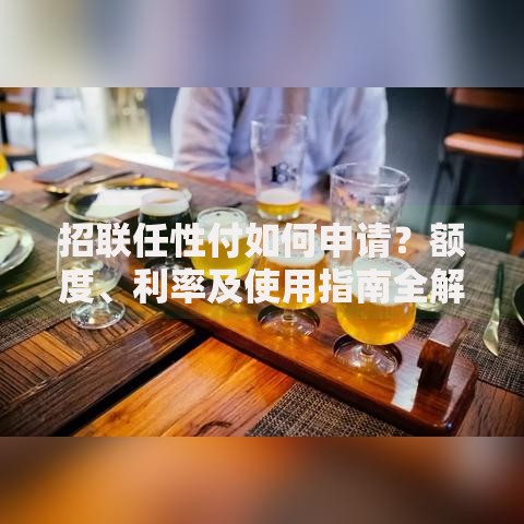招联任性付如何申请？额度、利率及使用指南全解析
