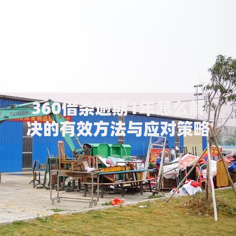 360借条逾期1年怎么解决的有效方法与应对策略