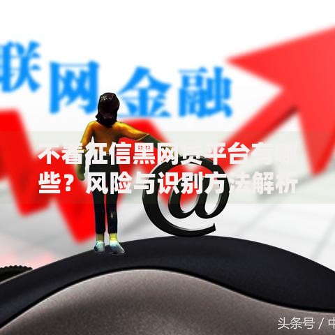 不看征信黑网贷平台有哪些？风险与识别方法解析