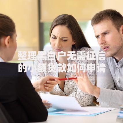 整理黑白户无需征信的小额贷款如何申请？