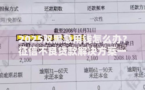 2025双黑急用钱怎么办？征信不良贷款解决方案一览