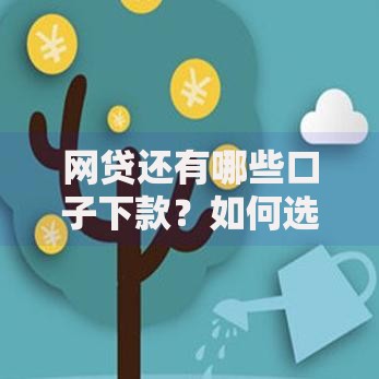 网贷还有哪些口子下款？如何选择靠谱渠道及注意事项解析
