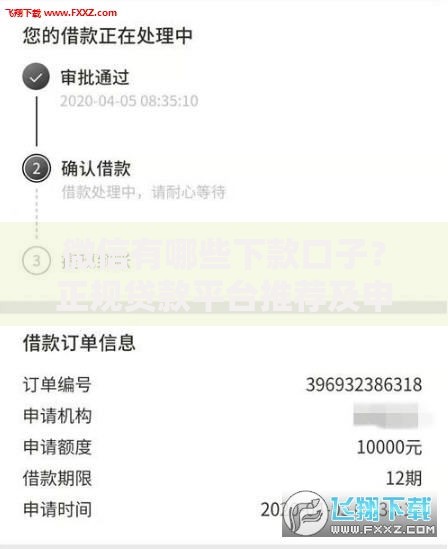 微信有哪些下款口子?正规贷款平台推荐及申请攻略 微信有哪些下款口子?正规贷款平台推荐及申请攻略