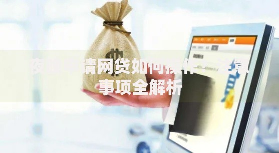 夜晚申请网贷如何操作？注意事项全解析