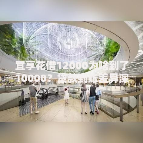 宜享花借12000为啥到了10000？贷款到账差异深度解析