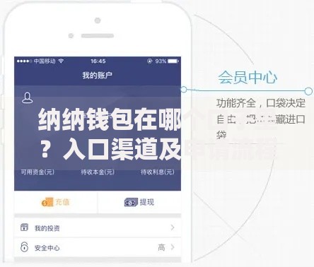 纳纳钱包在哪个口子里？入口渠道及申请流程全解析