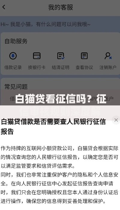 白猫贷看征信吗？征信审核规则深度解析