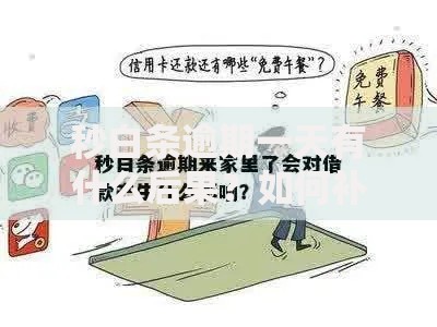 秒白条逾期一天有什么后果?如何补救及注意事项解析 秒白条逾期一天有什么后果?如何补救及注意事项解析