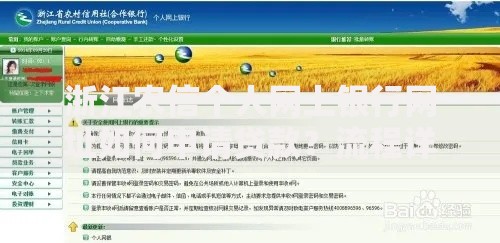 浙江农信个人网上银行网址如何申请贷款？流程详解