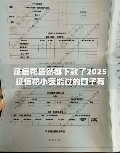 征信花居然都下款了2025征信花小额能过的口子有哪些？