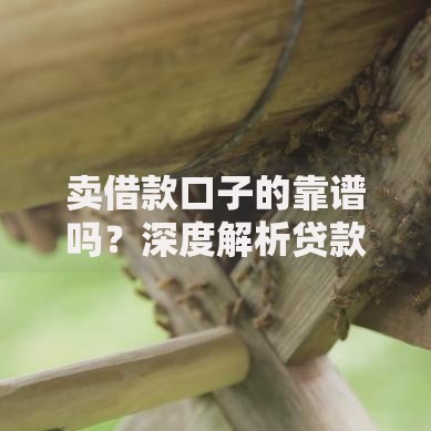 卖借款口子的靠谱吗？深度解析贷款渠道真伪