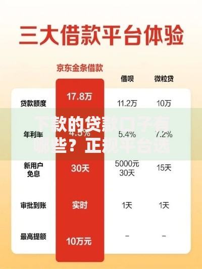 下款的贷款口子有哪些？正规平台选择与申请指南