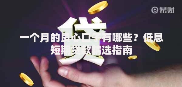 一个月的良心口子有哪些？低息短期贷款精选指南