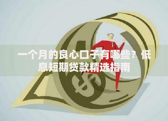 一个月的良心口子有哪些？低息短期贷款精选指南