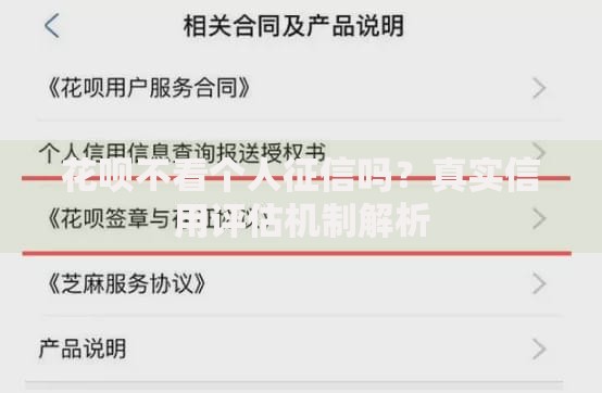 花呗不看个人征信吗？真实信用评估机制解析