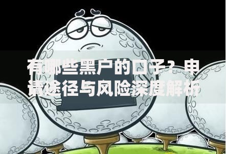 有哪些黑户的口子？申请途径与风险深度解析