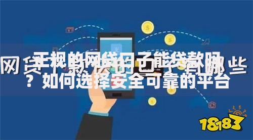 正规的网贷口子能贷款吗？如何选择安全可靠的平台